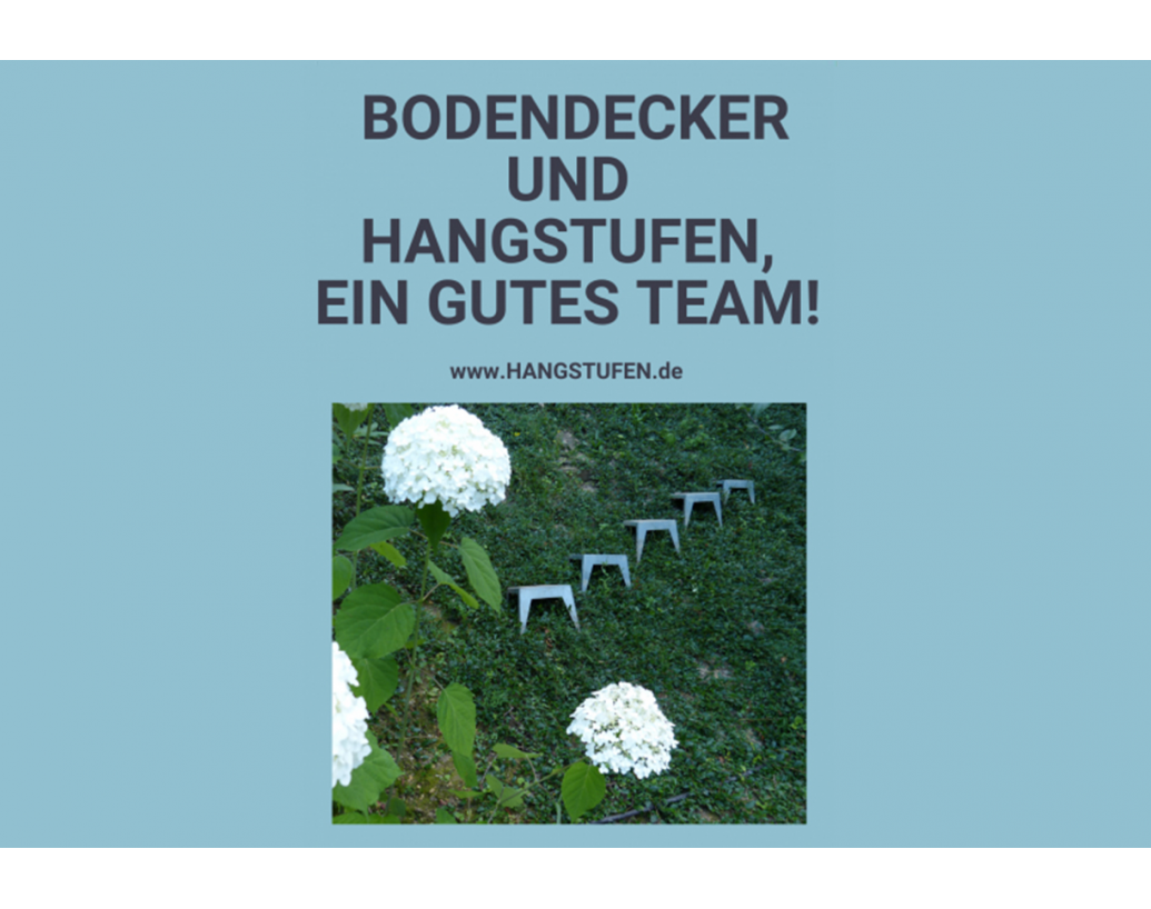 Bodendecker und Hangstufen - ein gutes Team!